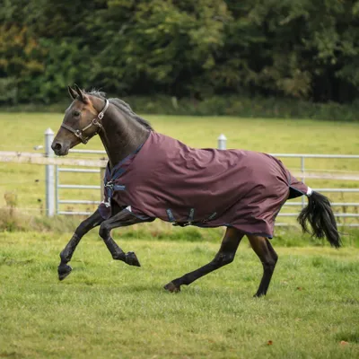 Produktbild von Horseware Weidedecke in Größe 115 - Amigo 1200D Turnout 50g - Burgundy/Navy & Titanium Grey