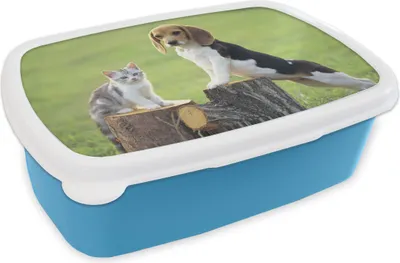 Produktbild von KitchenYeah® Lunchbox Brotzeit Brotdose 17x11 cm Katze - Hund - Baum Kinder Brotzeitdose - Lunch - Kunststoff  - Brotbüchse - Sandwichbox - Lunchbox für Kinder