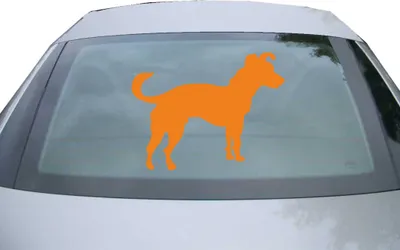 Produktbild von Indigos UG - Aufkleber Heckscheibe & Motorklappe DE7154 - orange - 600x461 mm - Jack Russell Hund Terrier - Auto Scheiben Fenster Heckklappe Tuning Racing JDM - Die cut