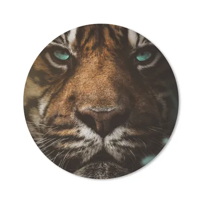 Produktbild von MuchoWow® Mauspad Mousepad Tiere - Tiger - Wild 40x40 cm - Mousepads - Maus Mat - Pad - Mausunterlage - Schreibtisch Accessoires