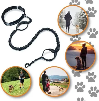 Immagine prodotto di Collare per cani "mani libere" - Collare multifunzionale 3 in 1 e regolabile