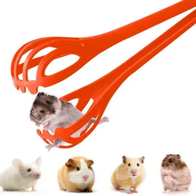 Productafbeelding van Hamster Clip voor Veilig Hanteren van Hamsters