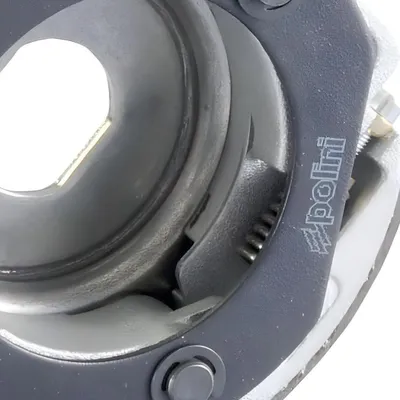 Immagine prodotto di Frizione Polini Maxi Speed 3G per competizioni, diametro 125 mm, peso 923 g, compatibile con Honda PCX 125