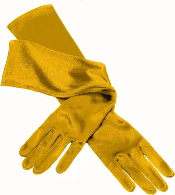 Produktbild von 20er Jahre Handschuhe gold