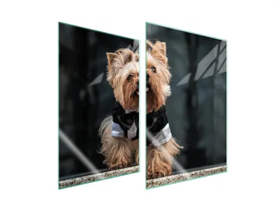 Produktbild von Herdabdeckplatten 2 teilig 35x52 Glaskeramikkochfeld Abdeckung Glas Schneidebrett Hund Yorkshire
