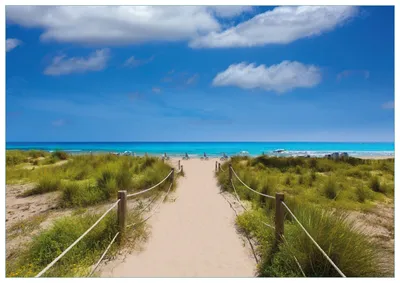 Produktbild von Wallario Premium Glasbild, freischwebende Optik, kräftige Farben, Größe 100 x 70 cm Motiv Sandweg zum blauen Meer mit blauem Himmel