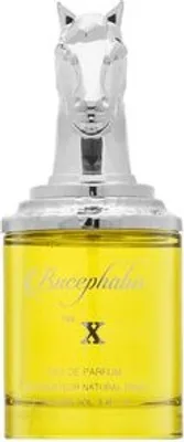 Obrázek produktu pro Armaf Bucephalus No. X EDP 100 ml M
