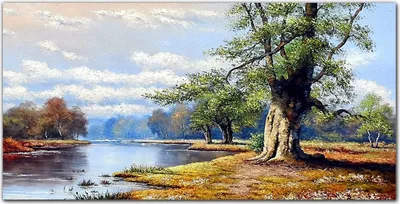 Produktbild von Coloray Bild aus Leinwand 120x60 Leinwand Dekoration - Wald Flusslandschaft mit Wolken