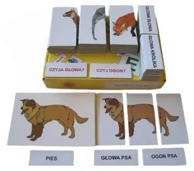 Immagine prodotto di Set didattico. Di chi è la testa? Di chi è la coda?