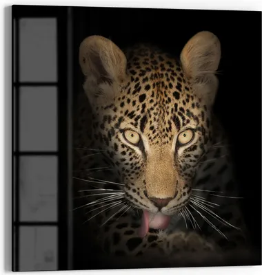 Produktbild von DEQORI Magnettafel Glas 30x30 cm 'Schattenraubkatze' beschreibbar Whiteboard Küche