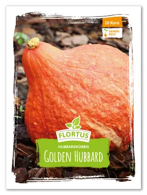Artikelbild 2 von 'Hubbardkürbis Golden Hubbard' aus der Kategorie Hubbardkürbissamen