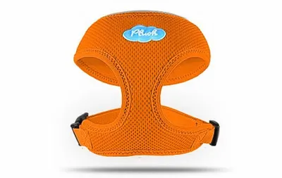 Produktbild von Basic Geschirr Air-Mesh Orange L