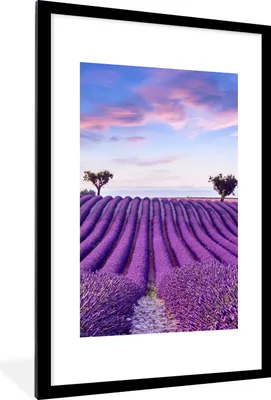 Produktbild von MuchoWow® Gerahmtes Poster Lavendel - Natur - Lila - Bäume - Blumen 60x90 cm - Poster mit Schwarzem Bilderrahmen Wandposter Rahmen Foto Bilder - Dekoration - Wandposter Wohnzimmer - Hochwertig
