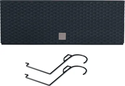 Productafbeelding van Prosperplast Rato opbergkoffer, collectie, 58x18x19,5 cm, artikelnummer ZA3699. Bloempot, zilver, zilver, one size