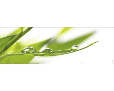 Produktbild von mySPOTTI Badrückwand aqua Fresh 140x45 cm