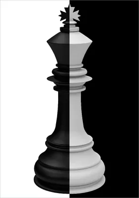 Produktbild von Wallario Poster - Schachfigur schwarz-weiß, Kunstdruck Größe: 70 x 100 cm