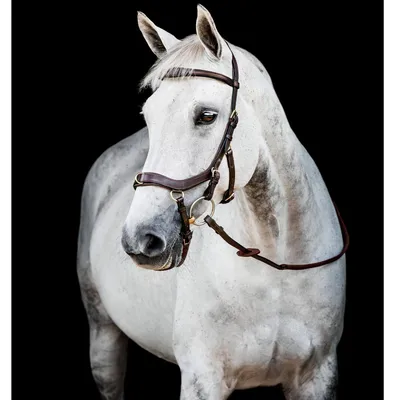 Produktbild von Horseware Ireland Trense Micklem 2 Multi Bridle Micklemtrense Dark Havana X-Full