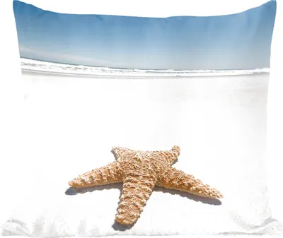 Produktbild von MuchoWow® Zierkissen Sofakissen Wohnzimmer Dekokissen 60x60 cm Seestern - Strand - Himmel - Sitzfläche - Foto Polster