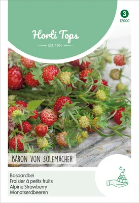 Imagen del producto de Fresas de la variedad Rügen | Semillas de fresa de Hortitops