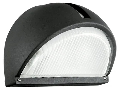 Image de EGLO ONJA Applique murale / lampe d'extérieur