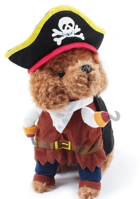 Produktbild von Haustier Hundekostüm Pirat Katzenkostüme