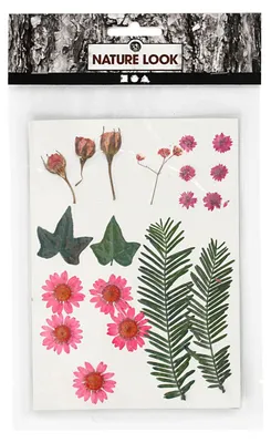 Produktbild von Creativ Company Trockenblumen und Blätter rosa Dekoration 19 Stück