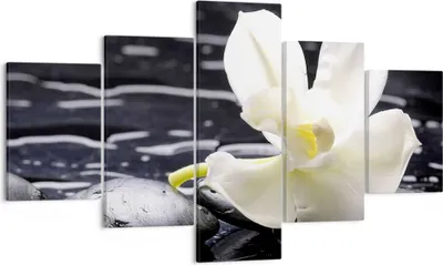 Produktbild von Bild auf Leinwand - Leinwandbild - Spa Orchidee Steine Wasser - 125x70cm - Wand Bild - Wanddeko - Leinwanddruck - Bilder - Kunstdruck - Wanddekoration - Leinwand bilder - Wandkunst - EA125x70-0444
