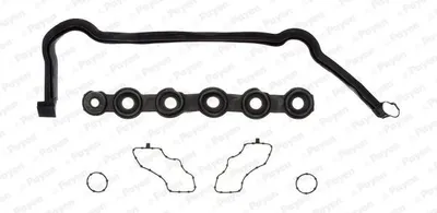 Produktbild von PAYEN Dichtungssatz Zylinderkopfhaube Ventildeckel für NISSAN Qashqai / Qashqai +2 I (J10, NJ10) HM5291