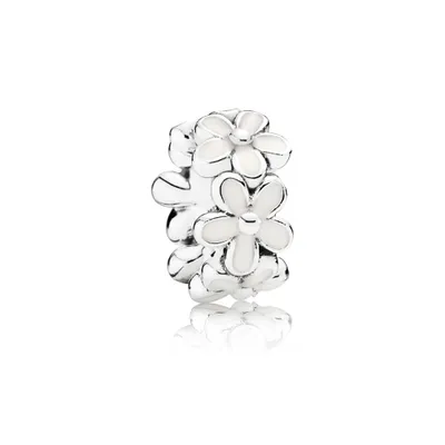 Immagine prodotto di Separatore Pandora 791495EN12