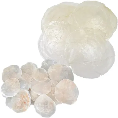 Productafbeelding van Parelmoerplaten, kustmagie, 6 stuks, grootte: 5 cm