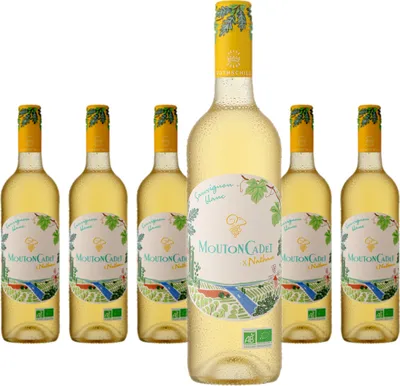 Produktbild von 6 x Baron Philippe de Rothschild Mouton Cadet Nathan Sauvignon Blanc