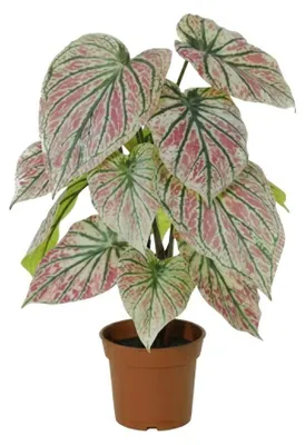 Image de Caladium artificiel vert et rose, 57cm en pot, plante décorative réaliste verte