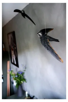 Produktbild von WG422 DecoBird Mauersegler - Handgeschnitzter Holzvogel - Fliegende Vögel