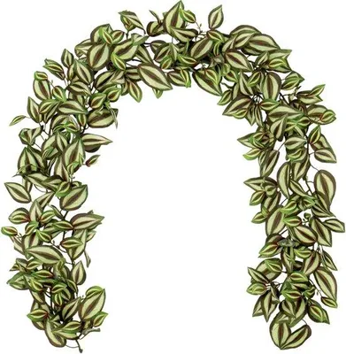 Immagine prodotto di Set di 2 piante rampicanti artificiali a foglia larga, 170 cm - Tradescantia Nanouk rampicante artificiale - Decorazioni vegetali per matrimoni e feste - Decorazioni per giardini e festival - Decorazioni da parete