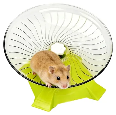 Produktbild von Leises Hamsterrad - Laufrad und Bewegungsspielzeug für Kleintiere - Leise Trainingsräder für Hamster, Chinchillas, Gerbils und Igel im Käfig oder Terrarium