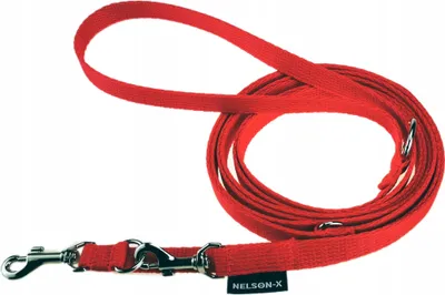 Obrázok produktu pre VERSTELLBARE LEINE FÜR KLEINE HUNDE 200 cm/1,5 cm