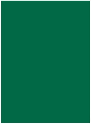 Produktbild von folia Tonpapier DIN A3 130 g/qm tannengrün 50 Blatt