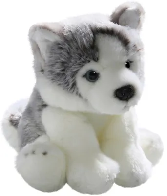Immagine prodotto di Carl Dick cucciolo di husky di circa 22 cm 3134 peluche, peluche, peluche, peluche