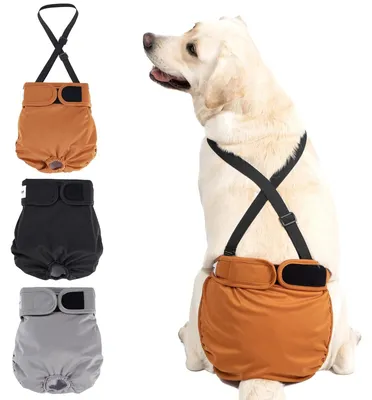 Image de Lot de 3 couches réutilisables pour chiens, modèles pour femelles, taille L
