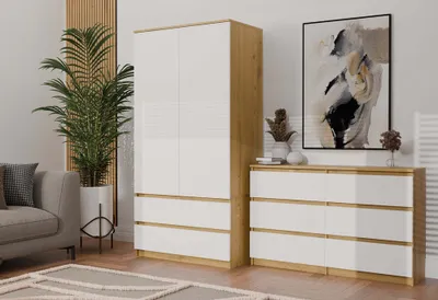 A modern bedroom or living room setting with a wardrobe and a chest of drawers.