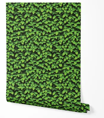 Zdjęcie produktu dla Tapeta Samoprzylepna Zielone Liście Do Kuchni Jadalni 5m x 0.5m