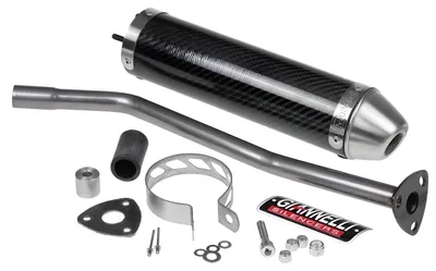 Produktbild von Auspuffanlage Giannelli Endtopf carbon mit ABE für Aprilia SX 50 Derbi-Motor