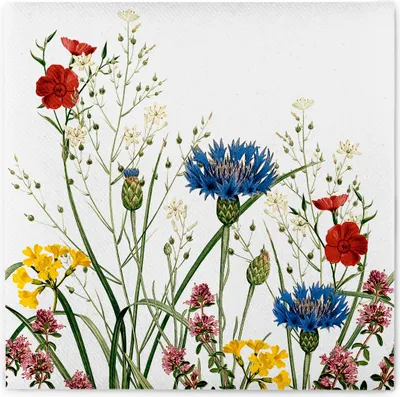 Produktbild von MANK Serviette Edith (Kornblume) aus Linclass® Airlaid, 40 x 40 cm, 50 Stück