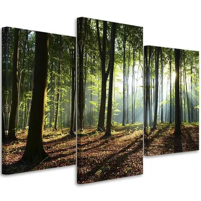 Produktbild von Triptychon auf leinwand sonnenschein im wald 60x40 cm Feeby blau wandbild bereit zum aufhängen