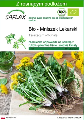 Zdjęcie produktu dla SAFLAX - Bio - Mniszek Lekarski - 400 Nasiona - Z podłożem uprawowym wolnym od zarazków - Taraxacum officinale