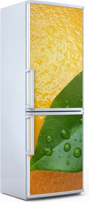 Produktbild von Magnete Dekorative - 70 cm x 190 cm - Küche - Magnetmatte Kühlschrankmagnete - Orangenschale Und Blatt