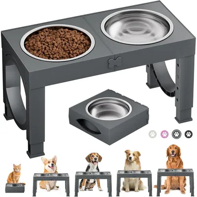 Immagine prodotto di Ciotola rialzata per cani, regolabile in altezza in 5 posizioni, con 2 ciotole in acciaio inossidabile, colore grigio