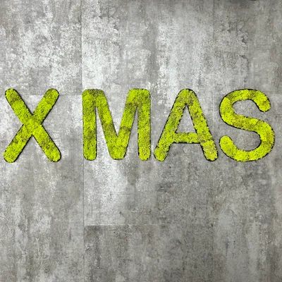 Produktbild von Islandmoos – Set XMAS Springgrün