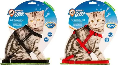 Obrázek produktu pro Postroj a vodítko cat DUVO+ Diamant 20-35cm/10mm-125cm