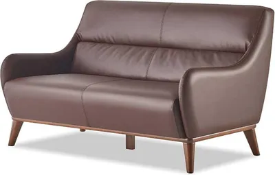 Produktbild von Ledersofa 2-Sitzer Sofa Braun Klassisch Leder Holz Weiche Armlehnen